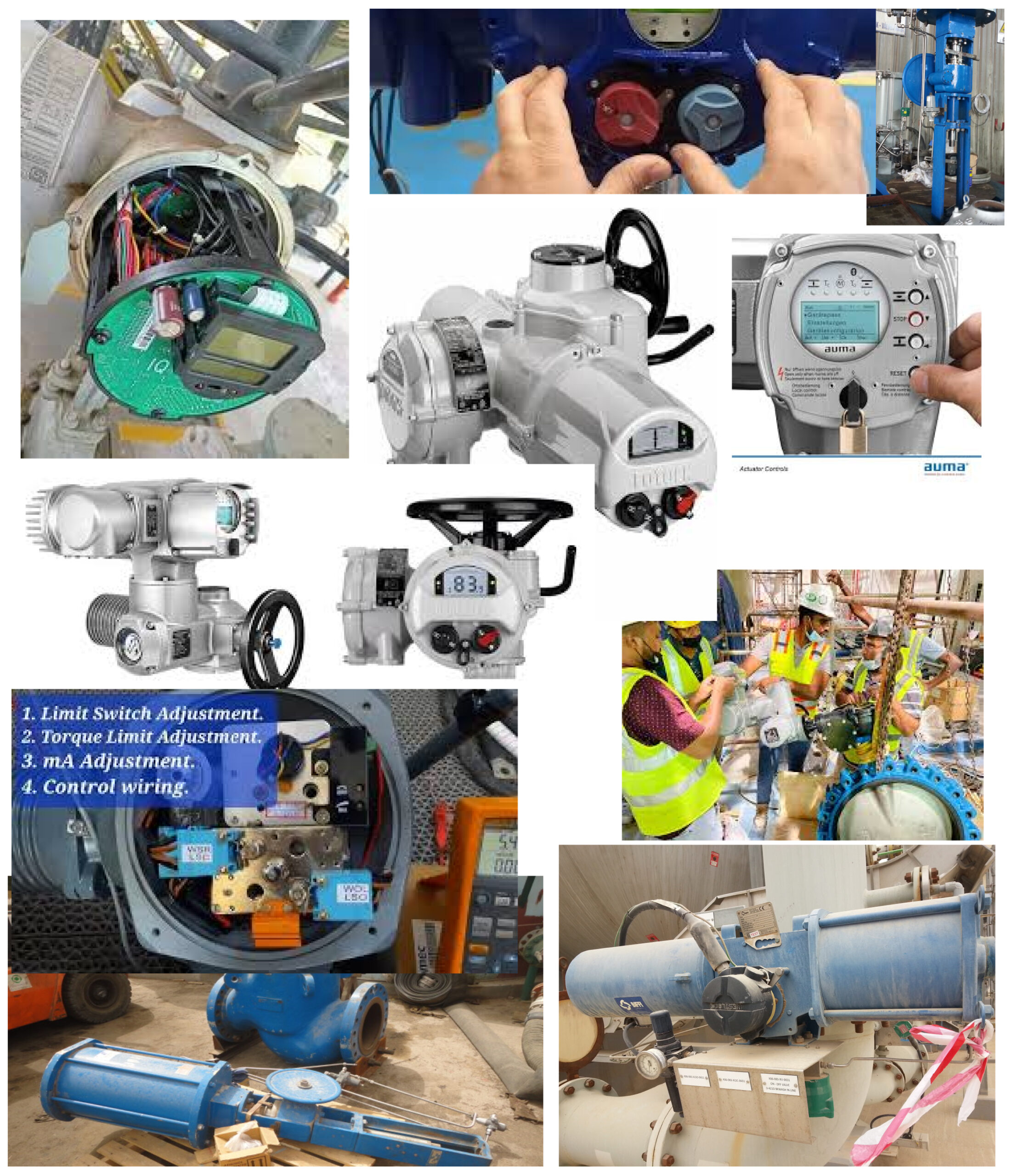 Our Services