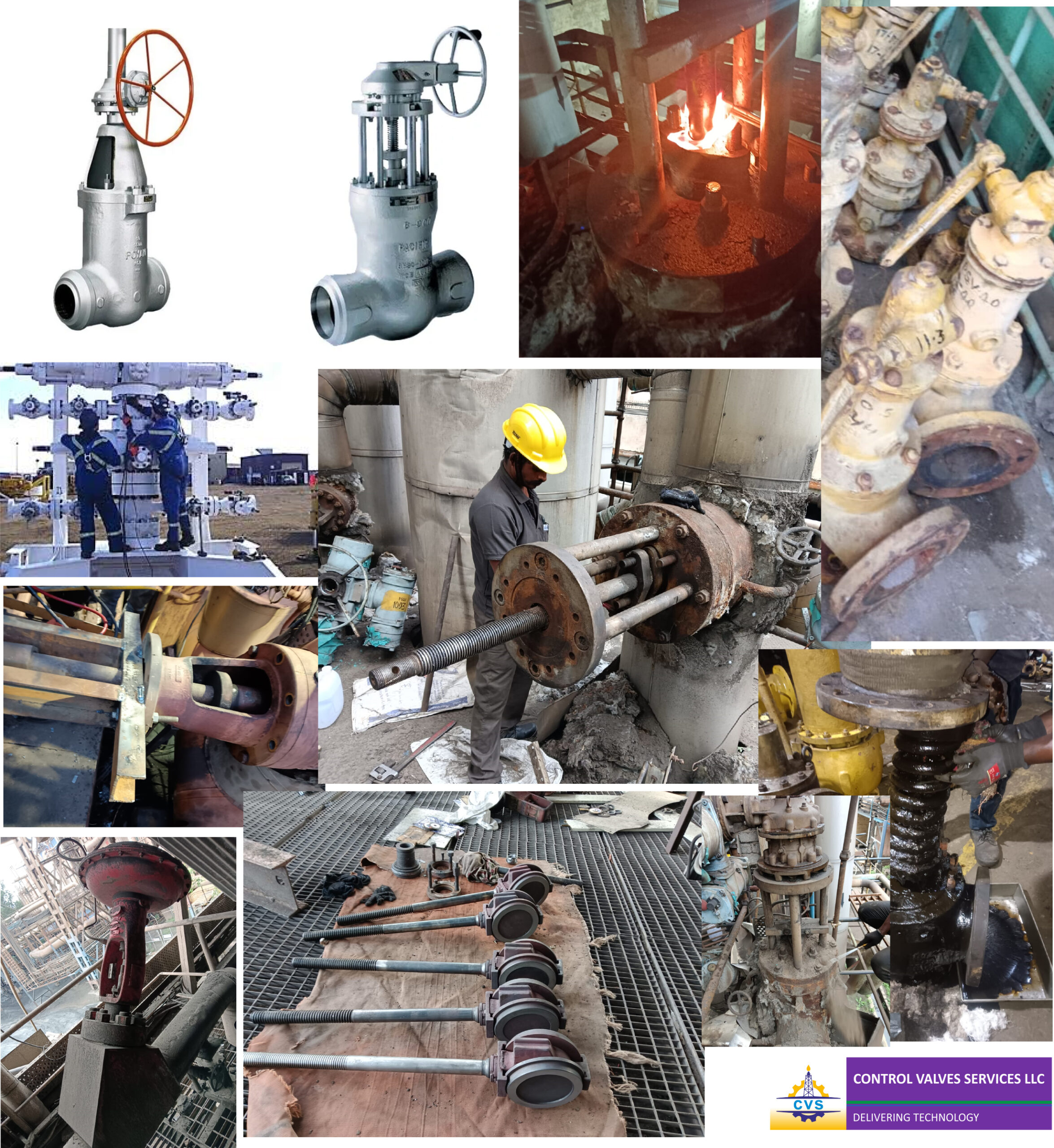Our Services
